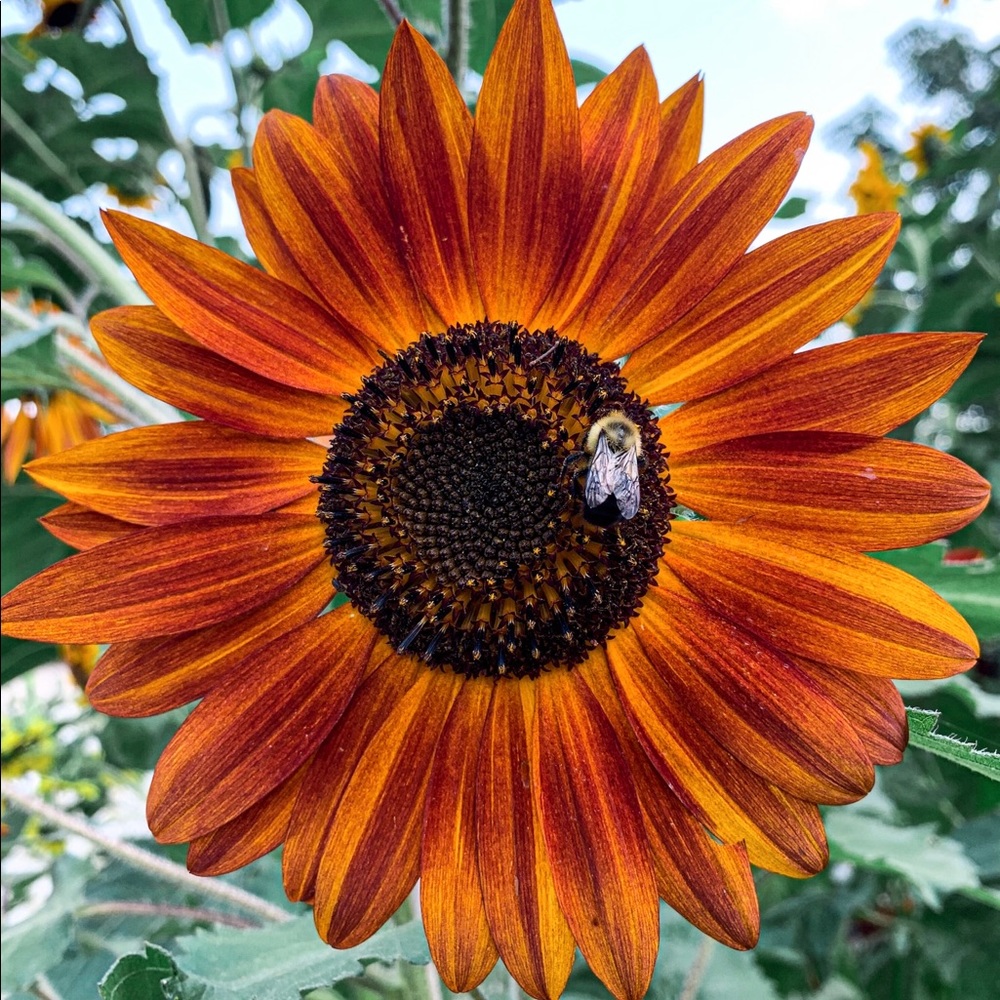 Meet your Posher, Taylor